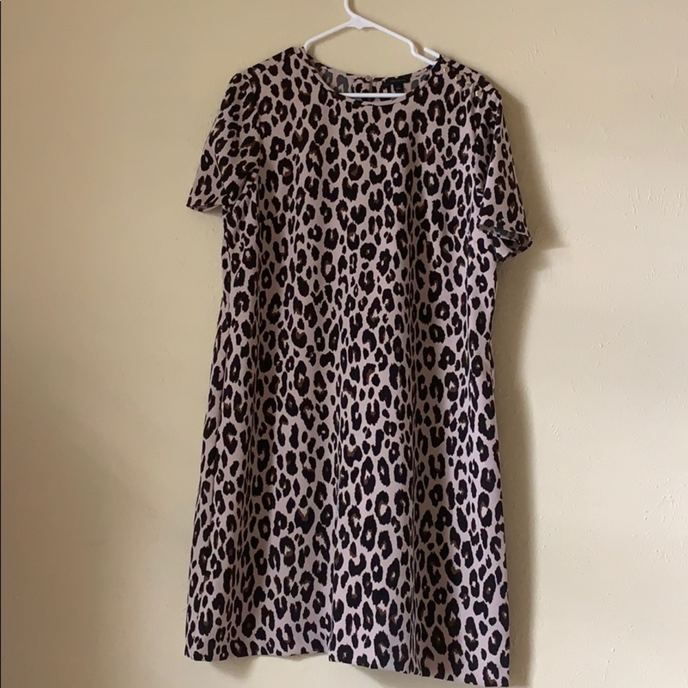 Cute leopard shift dress with gold buttons